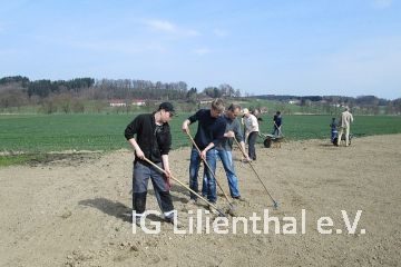 Steine weg! Steine weg!